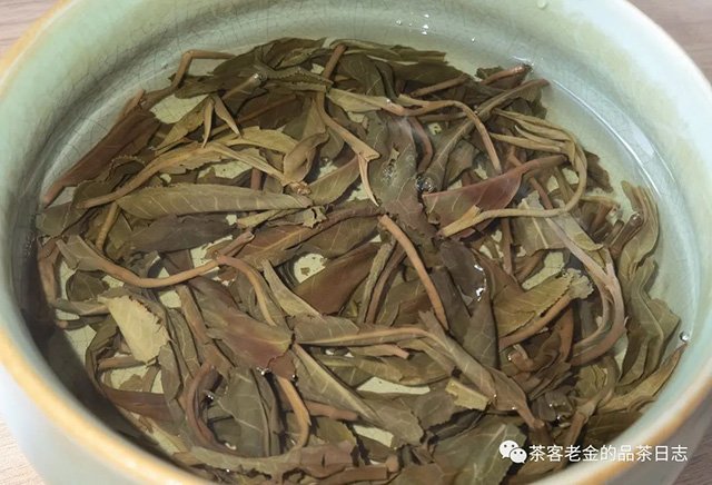 吾茶共饮2023年菁瑶高杆秋茶普洱茶