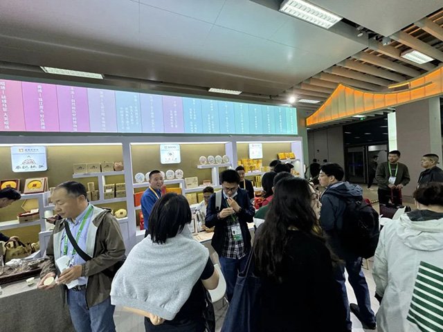 六大茶山以云南老字号品牌形象在第六届进博会优势出圈