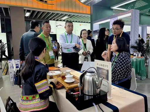 六大茶山以云南老字号品牌形象在第六届进博会优势出圈