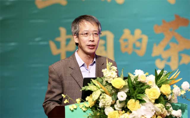 普洱杂志