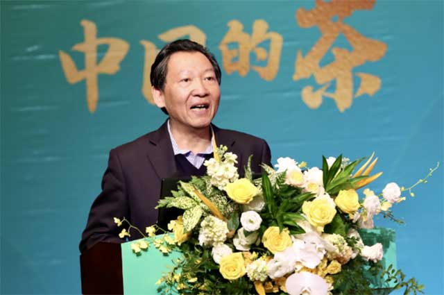 普洱杂志