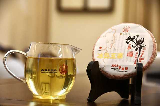 八角亭2023年冰岛五寨普洱茶