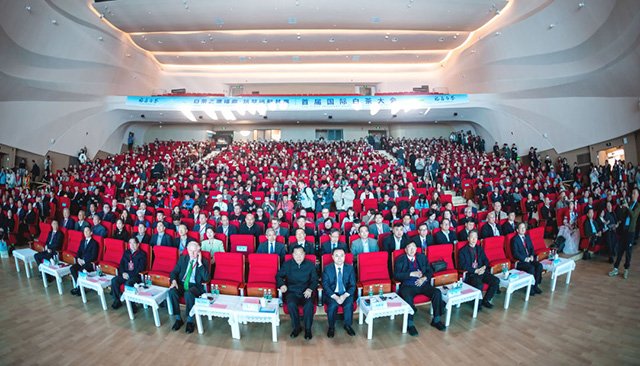 首届国际白茶大会现场