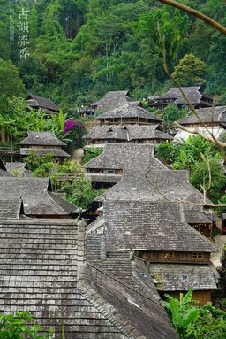 古韵流香2011景迈纯料古树普洱品质特点