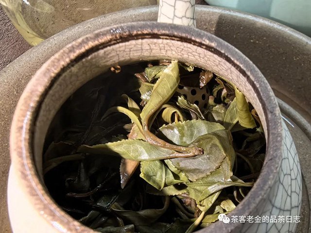 ���¹Ų�СҶ���洺�ն���