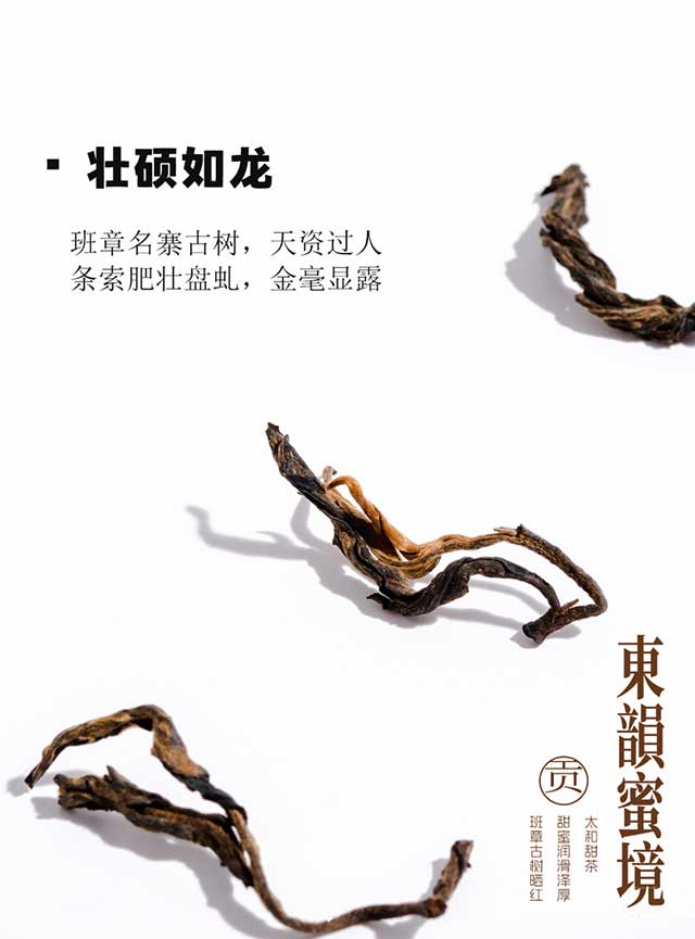 2023年巅茶东韵蜜境班章古树晒红