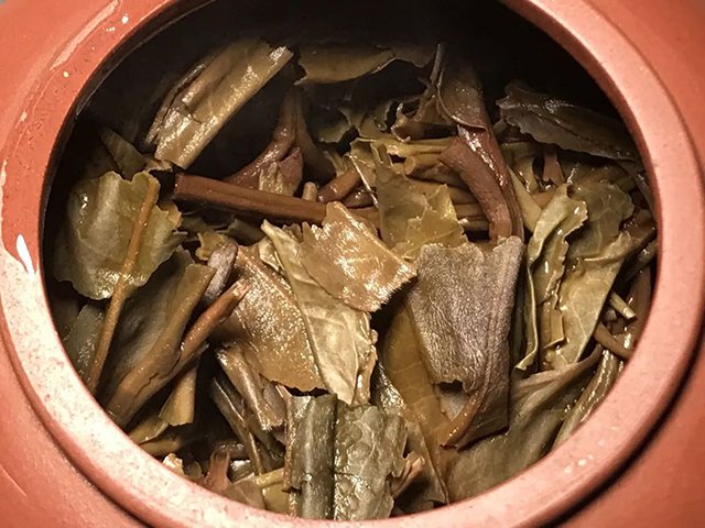 大益2017年轩辕号普洱茶品质特点8