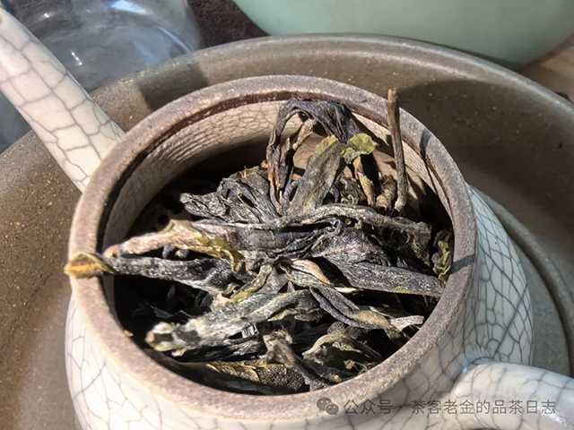 栩月古茶2023年登峰造极3168普洱茶