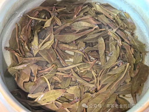 栩月古茶2023年登峰造极3168普洱茶