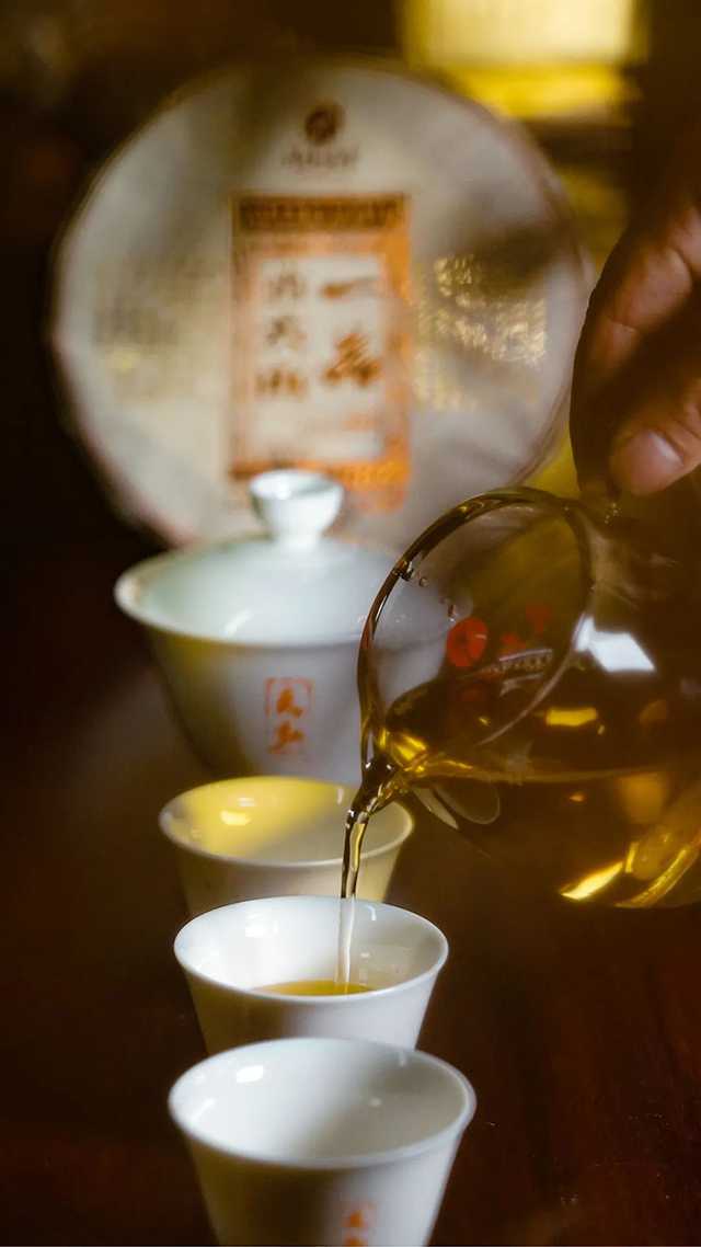 天弘茶业一品古六山普洱茶