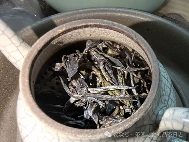 栩月古茶2023年至道匠心3133普洱茶