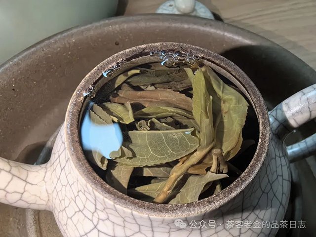 栩月古茶2023年至道匠心3133普洱茶