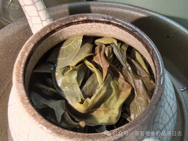栩月古茶2023年至道匠心3133普洱茶