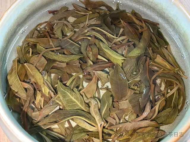 栩月古茶2023年至道匠心3133普洱茶