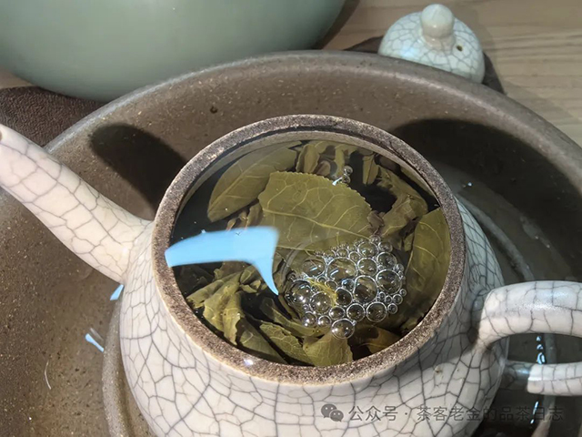 馨兰熙号2023年茶王树普洱茶