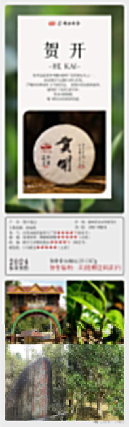 芒嘎拉2024一山一味春茶预售开启