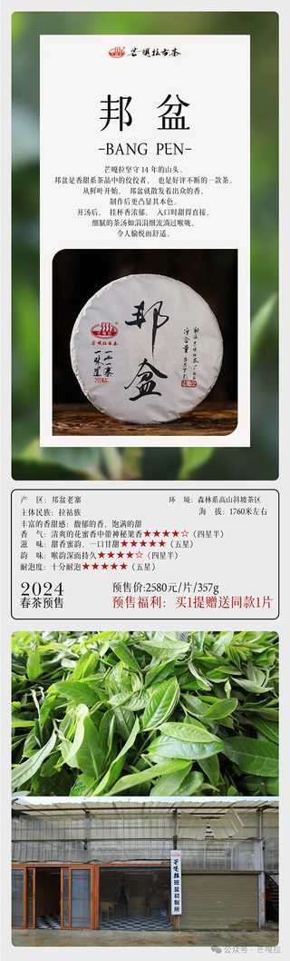 芒嘎拉2024一山一味春茶预售开启