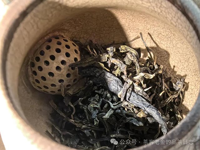 茶者无喧2022年六山集之莽枝有林普洱茶