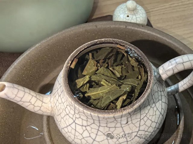 茶者无喧2022年六山集之莽枝有林普洱茶