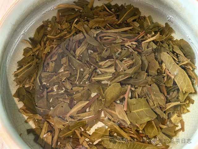 茶者无喧2022年六山集之莽枝有林普洱茶