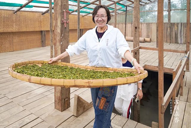 古韵流香老班章体验中心落成仪式暨2024春季茶山游学开启