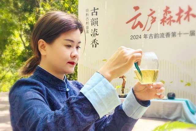 古韵流香老班章体验中心落成仪式暨2024春季茶山游学开启