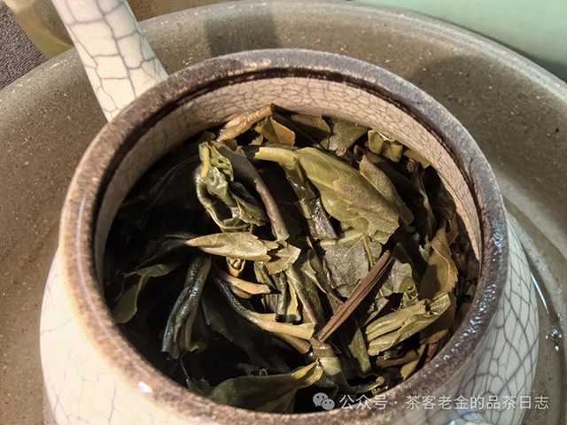 茶者无喧2022年六山集之革登有林普洱茶