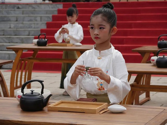 宁洱普洱茶贡茶