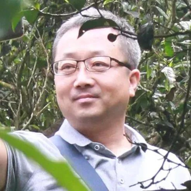 中国茶叶品牌发展报告