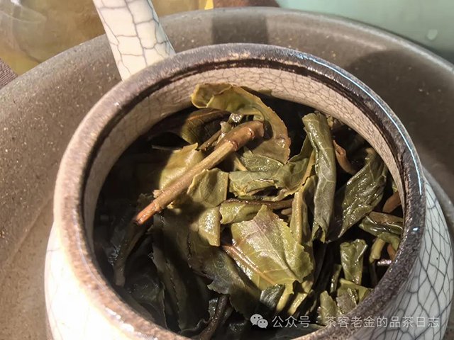 馨兰熙号2023年天成普洱茶