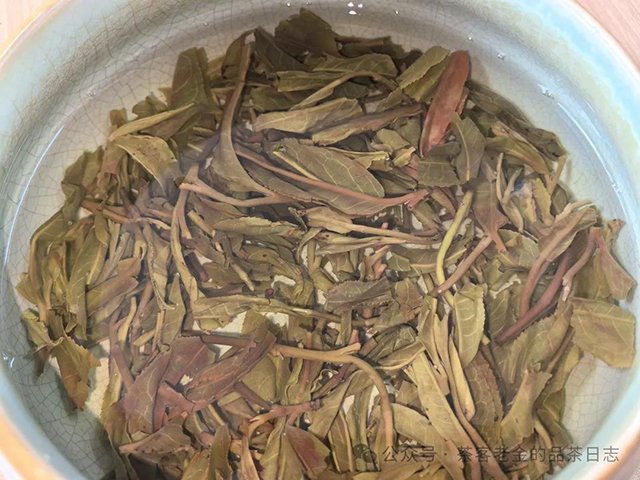 馨兰熙号2023年天成普洱茶