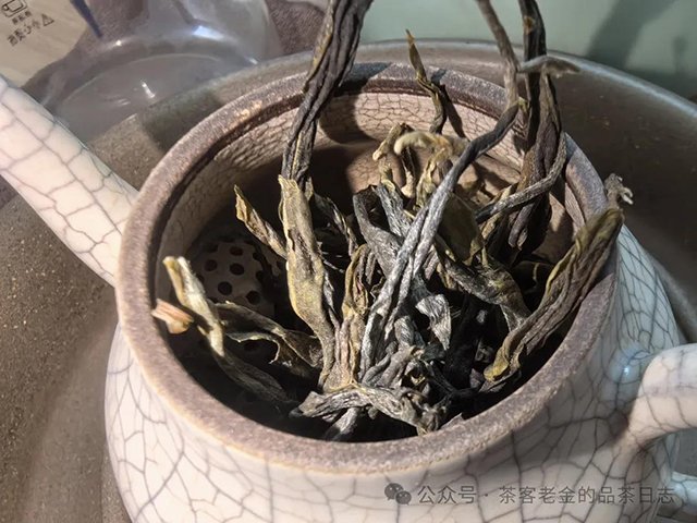 西酉茶泉普洱茶