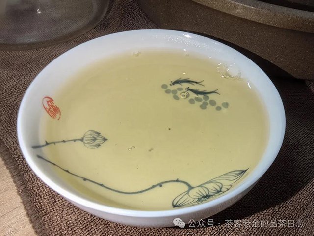 西酉茶泉普洱茶