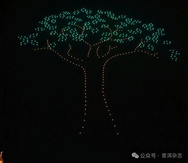 澜沧古茶2024回家之旅正式启幕