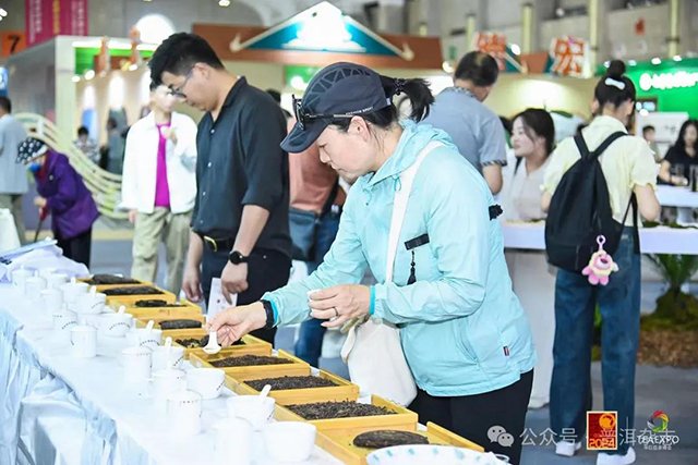 第十六届昆明茶博会