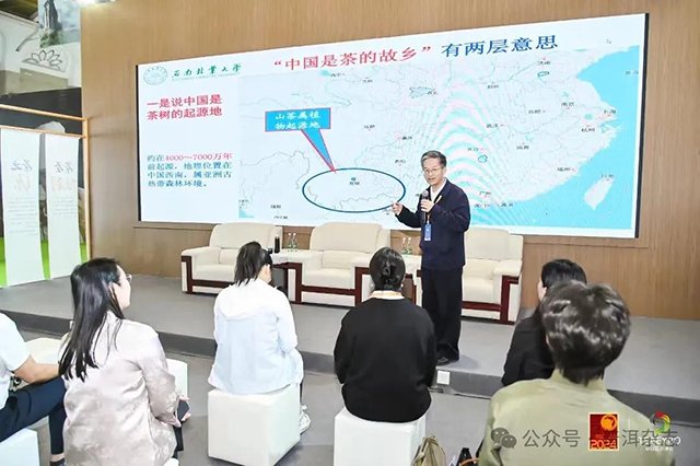 第十六届昆明茶博会