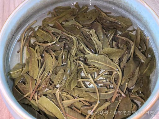 陈永珍2024年白茶园高杆头春普洱茶品质特点