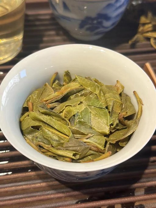 易普堂茶号试2024年头春单株有感