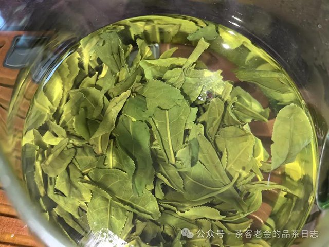 六安瓜片品质特点