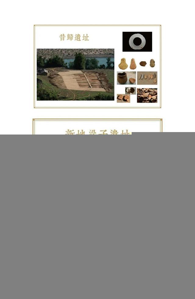 云柯庄园普洱茶
