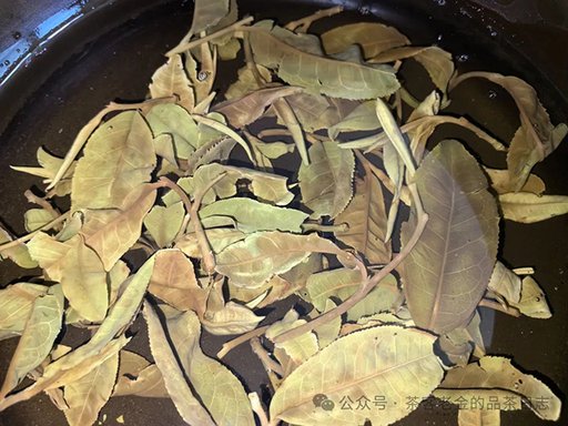 栩月古茶2024年云白曼松茶品品质特点