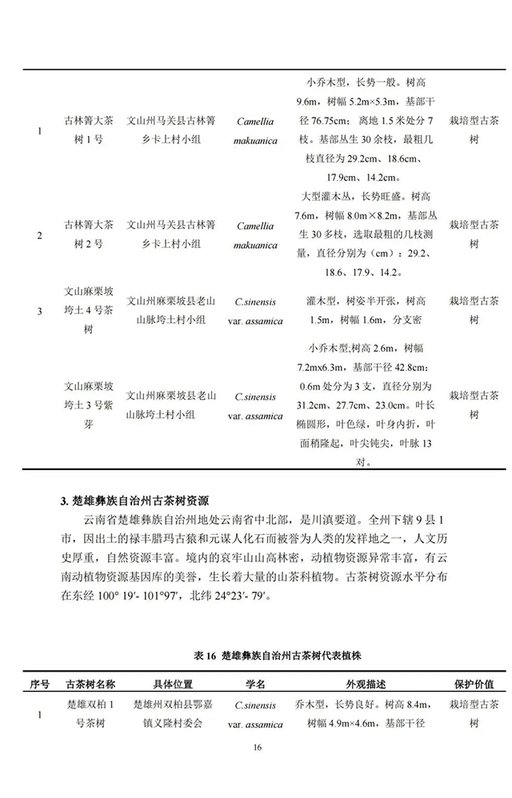 中国古茶树资源
