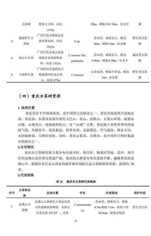 中国古茶树资源