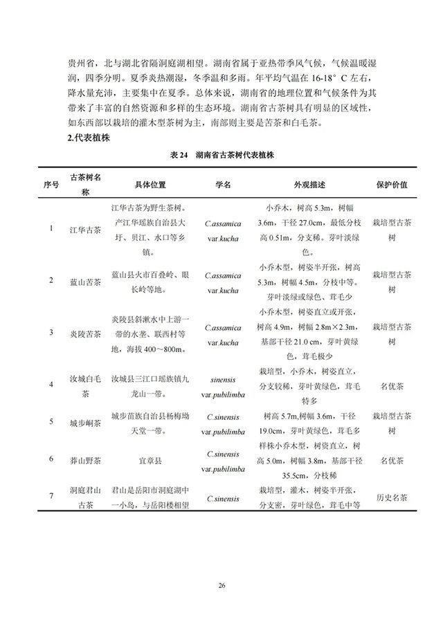 中国古茶树资源