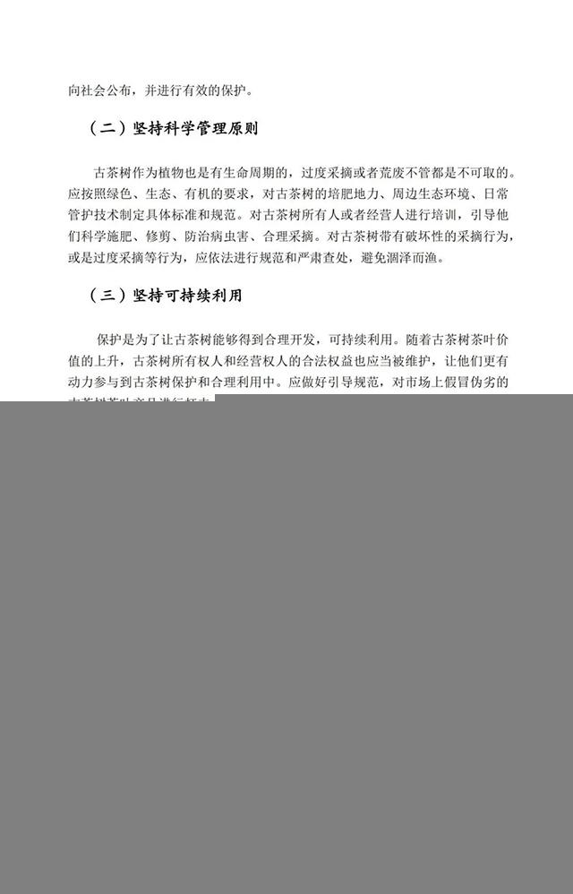 中国古茶树资源