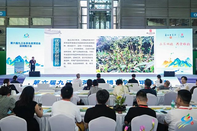 2024年深圳茶博会圆满闭幕
