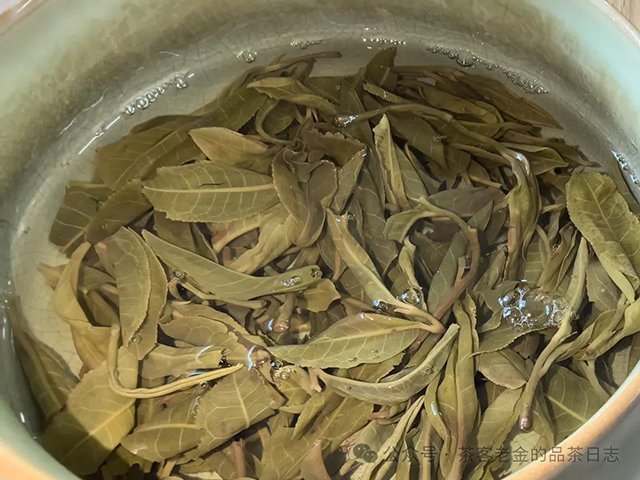 茶遇非非2024年溪竹林茶品品质特点