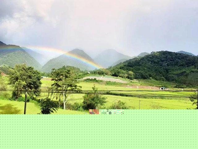 易武镇张家湾村