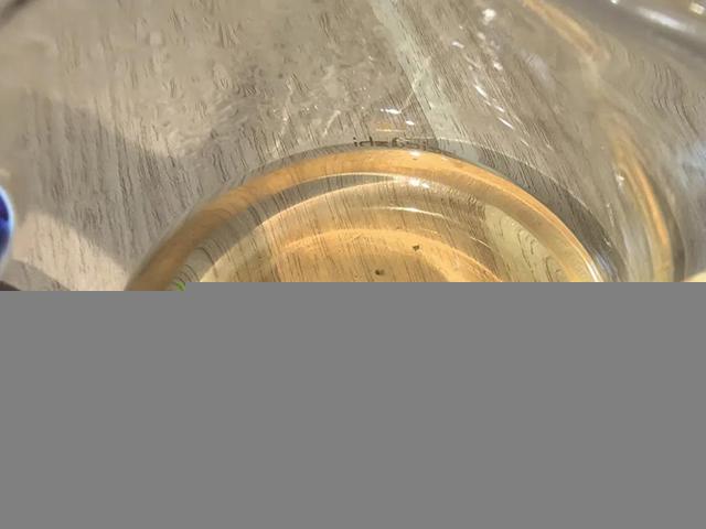 吾茶共饮2024年高杆普洱茶