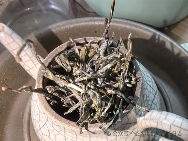 吾茶共饮2024年高杆普洱茶